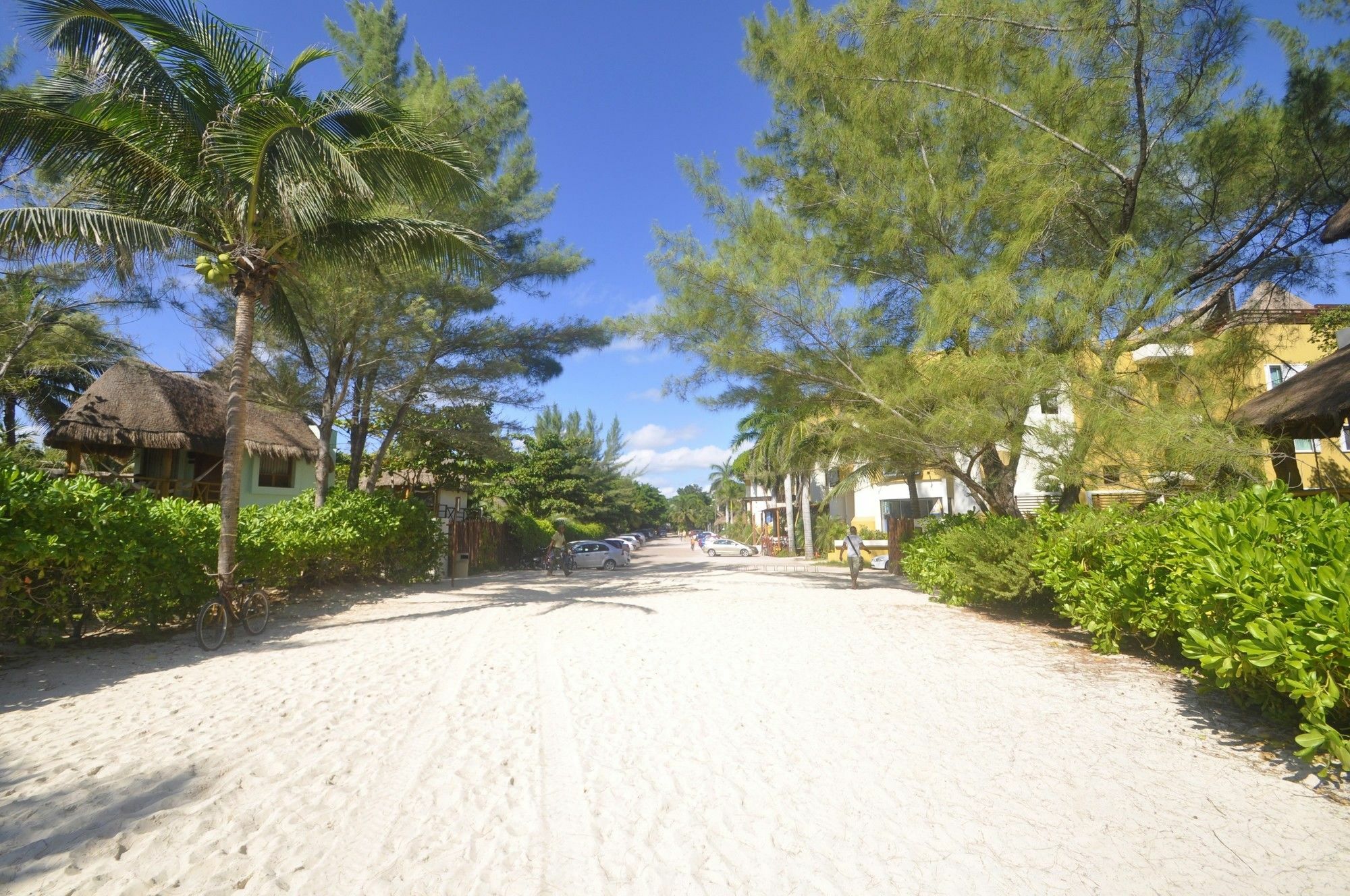 Apartamento Terrazas 104 Playa del Carmen